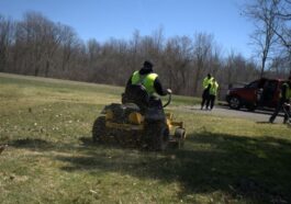 Lawn care before and after by NLLC in Niagara