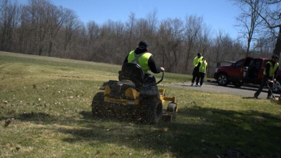 Lawn care before and after by NLLC in Niagara