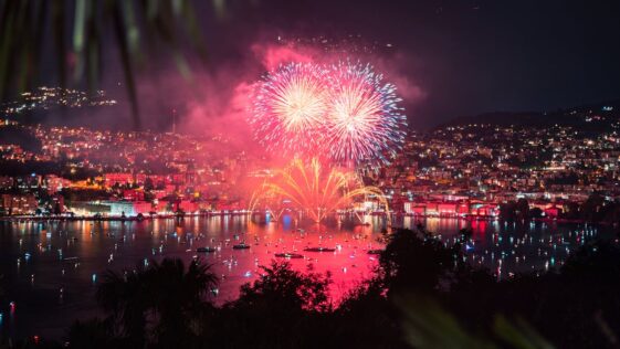 A winter scene at Niagara Falls Winter Festival of Lights, with illuminated trees and glowing light displays creating a magical atmosphere.