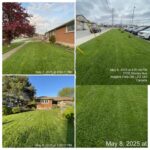 Newly renovated lawn in Niagara Falls by NLLC