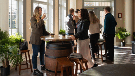 Panoramic view of a Niagara-on-the-Lake vineyard with grapevines stretching toward Lake Ontario under a blue sky