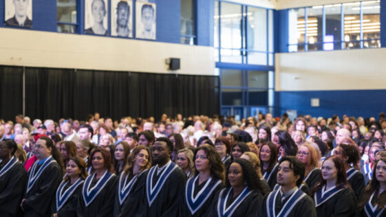 Niagara College logo - Niagara Archive