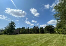 NLLC team member providing professional lawn care service in Niagara Falls, showcasing quality and attention to detail.