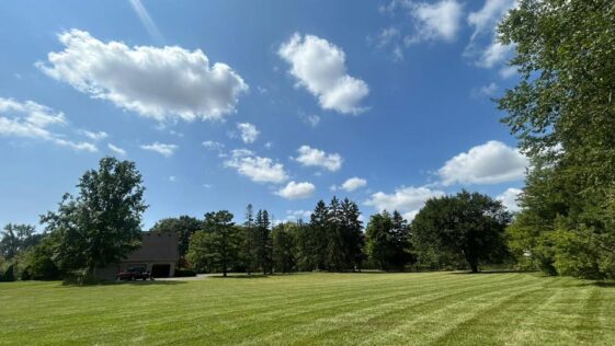 NLLC team member providing professional lawn care service in Niagara Falls, showcasing quality and attention to detail.