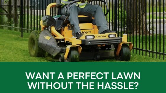 Beautifully landscaped yard by NLLC in Niagara Falls