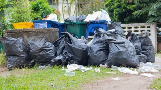 Niagara Landscaping Lawncare & Cleaning team performing property maintenance in Niagara Falls