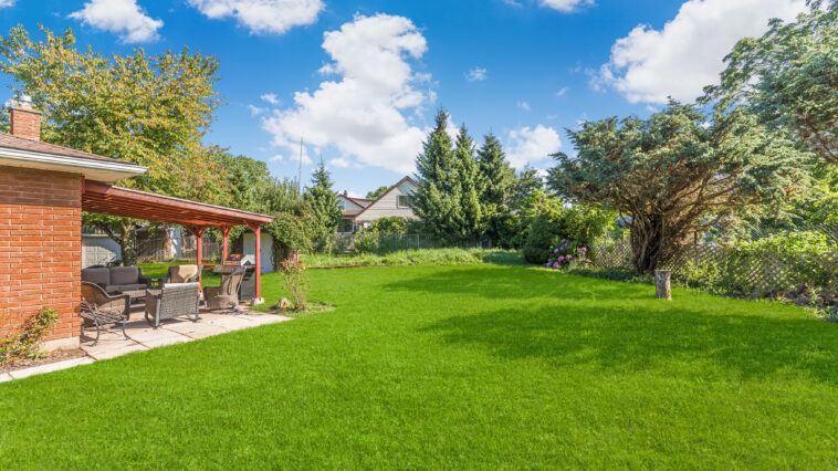 Driveway and walkway care services in Niagara Falls by Prajwal Shah and NLLC team