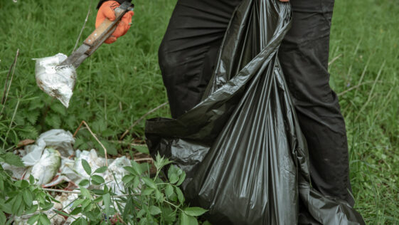 Professional junk and garbage removal service in Niagara Falls by NLLC