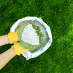 Professional lawn care in Niagara Falls showing lush green grass being maintained.
