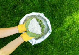 Professional lawn care in Niagara Falls showing lush green grass being maintained.