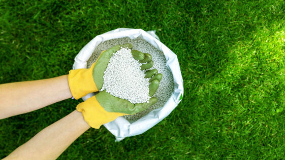 Professional lawn care in Niagara Falls showing lush green grass being maintained.