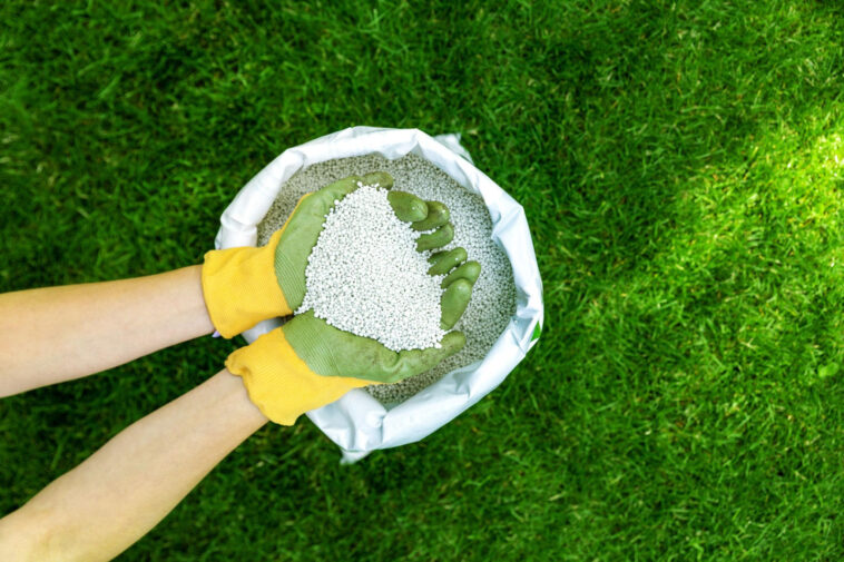 Professional lawn care in Niagara Falls showing lush green grass being maintained.
