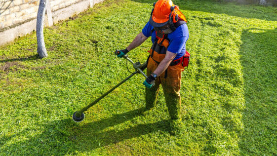 Lawn aeration in progress on a healthy green yard in Niagara Falls