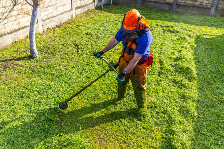 Lawn aeration in progress on a healthy green yard in Niagara Falls