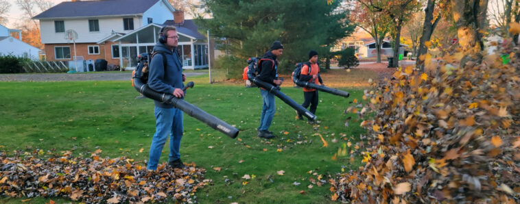 Professional lawn cleanup service in Niagara Falls removing leaves and debris