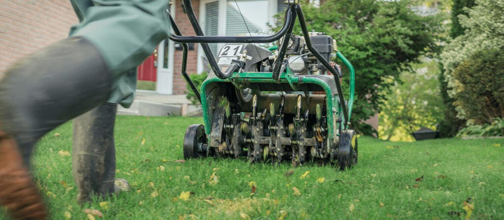 Spring lawn care Ontario – green healthy grass in Niagara Falls