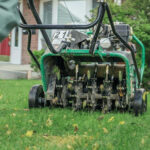 Spring lawn care Ontario – green healthy grass in Niagara Falls