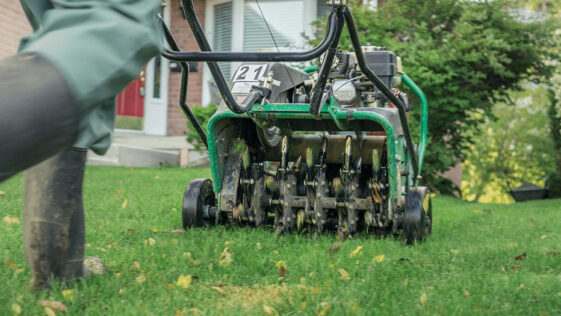 Spring lawn care Ontario – green healthy grass in Niagara Falls