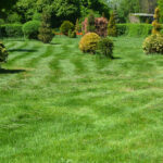 Lawn aeration and mulching process to retain moisture