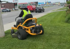 Revitalize Your Property: The Ultimate Guide to Landscaping and Cleaning in Niagara by NLLC