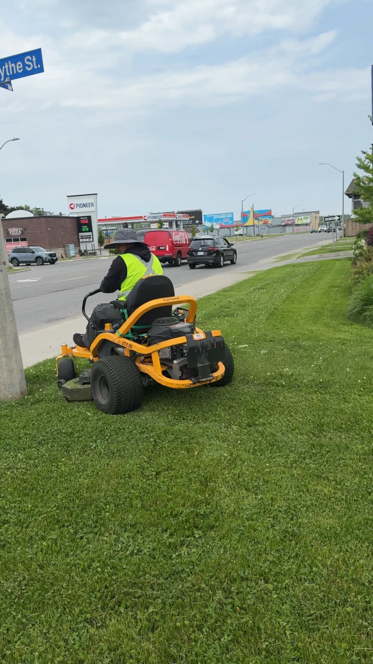 Revitalize Your Property: The Ultimate Guide to Landscaping and Cleaning in Niagara by NLLC