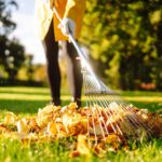 Affordable lawn care Niagara Falls by NLLC showing professional grass cutting, trimming, and clean landscaping results