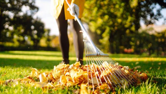 Affordable lawn care Niagara Falls by NLLC showing professional grass cutting, trimming, and clean landscaping results