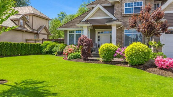 lawn care team mowing a lush green residential lawn in Niagara Falls