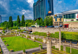 How to fertilize your lawn without overdoing it in Niagara Falls – NLLC lawn care guide by Prajwal Shah