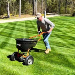 Summer lawn fertilization and professional lawn care services
