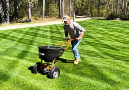 Summer lawn fertilization and professional lawn care services