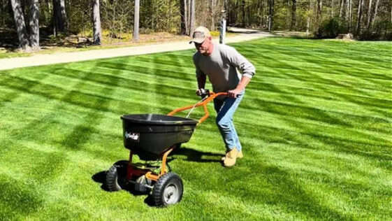 Summer lawn fertilization and professional lawn care services