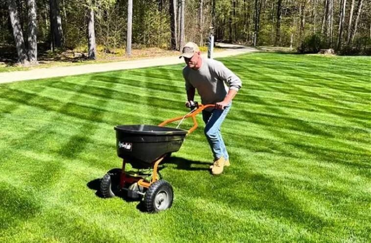 Summer lawn fertilization and professional lawn care services