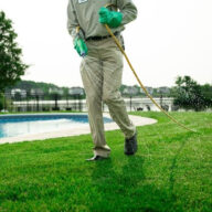 Healthy green lawn being maintained during summer in Niagara Falls with professional lawn care service