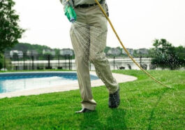 Healthy green lawn being maintained during summer in Niagara Falls with professional lawn care service