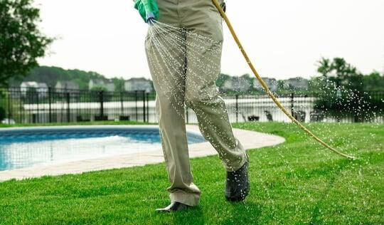 Healthy green lawn being maintained during summer in Niagara Falls with professional lawn care service