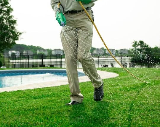 Healthy green lawn being maintained during summer in Niagara Falls with professional lawn care service