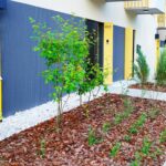 Summer Lawn Care Guide – NLLC Niagara Falls