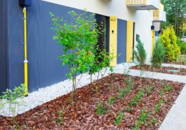 Summer Lawn Care Guide – NLLC Niagara Falls