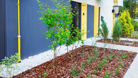 Summer Lawn Care Guide – NLLC Niagara Falls