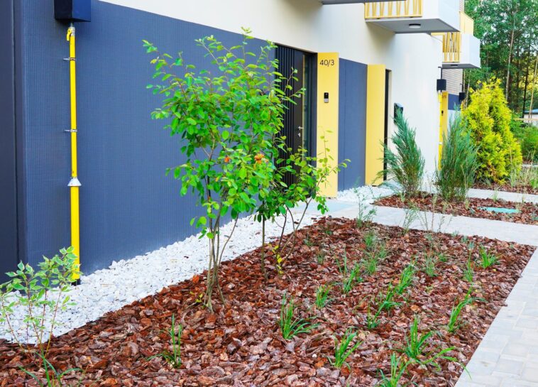 Summer Lawn Care Guide – NLLC Niagara Falls