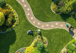 Healthy green lawn maintained during hot summer by NLLC