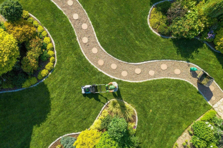 Healthy green lawn maintained during hot summer by NLLC