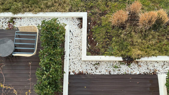 Prevent brown spots on your lawn this summer – Niagara Landscaping Lawn Care