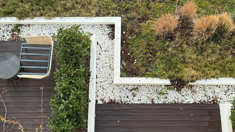 Prevent brown spots on your lawn this summer – Niagara Landscaping Lawn Care