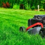 Professional Lawn Mowing in Niagara Falls