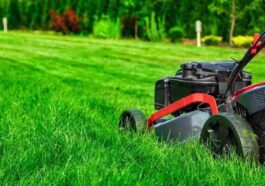 Professional Lawn Mowing in Niagara Falls