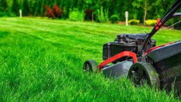 Professional Lawn Mowing in Niagara Falls
