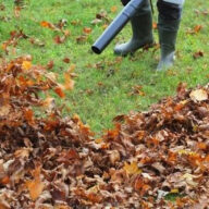 Healthy green lawn maintained during summer drought with proper watering and care by NLLC in Niagara Falls
