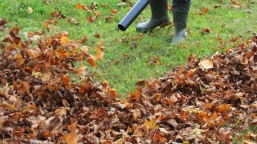 Healthy green lawn maintained during summer drought with proper watering and care by NLLC in Niagara Falls